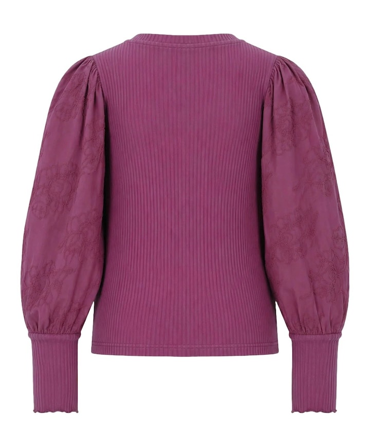 Meisjes longsleeve paars