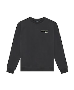 Jongens sweater grijs