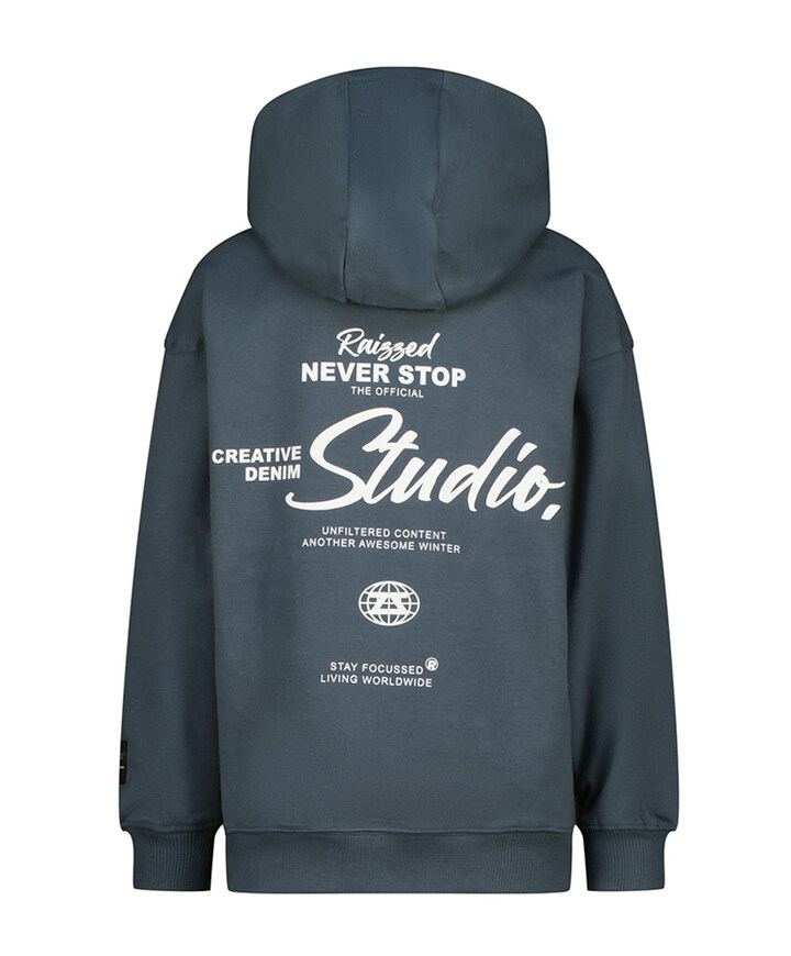 Hoodie blauw