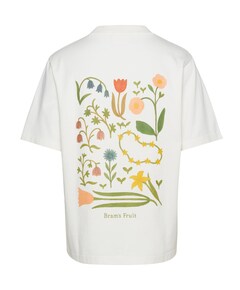 Heren T-shirt wit