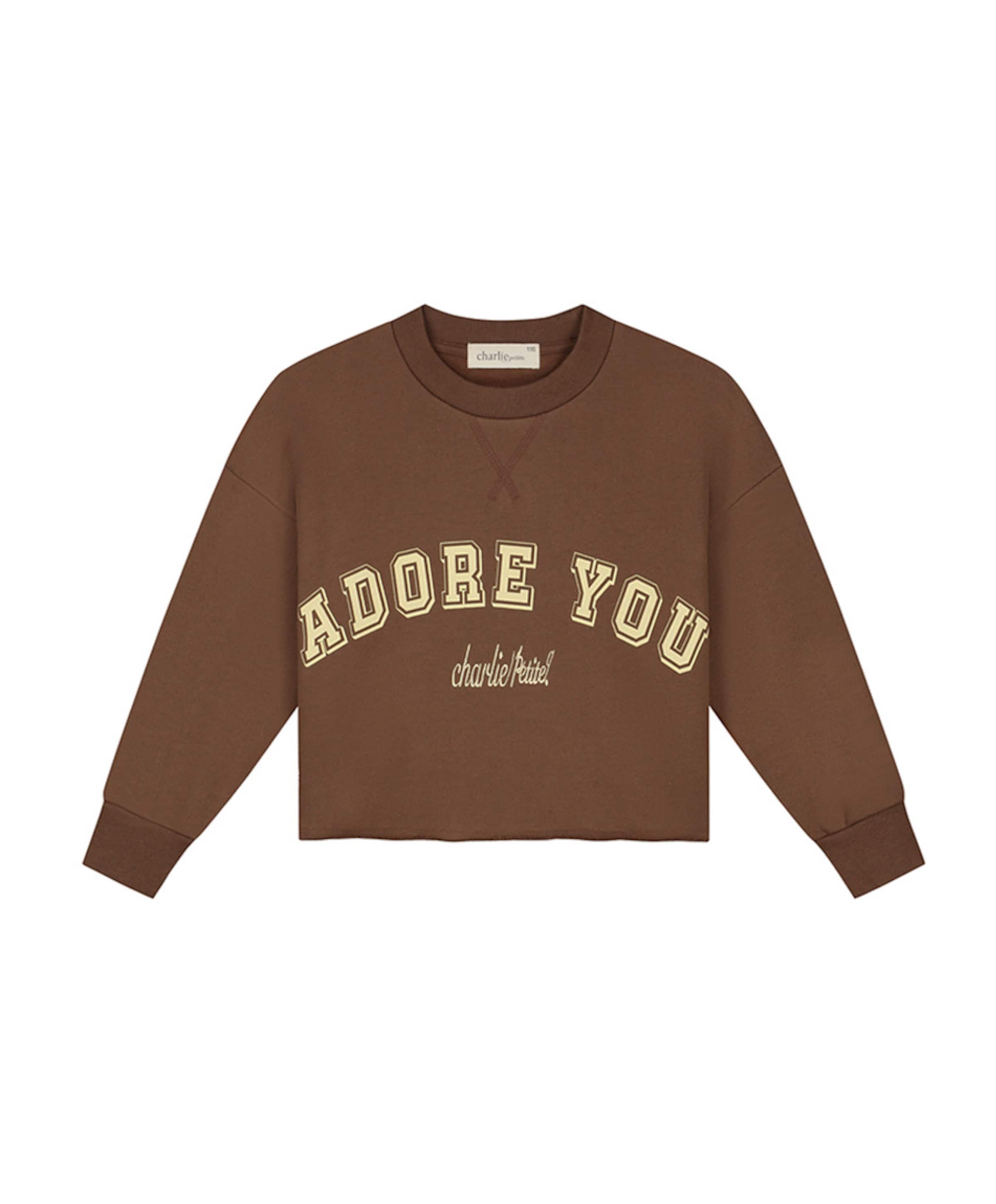 Meisjes sweater bruin