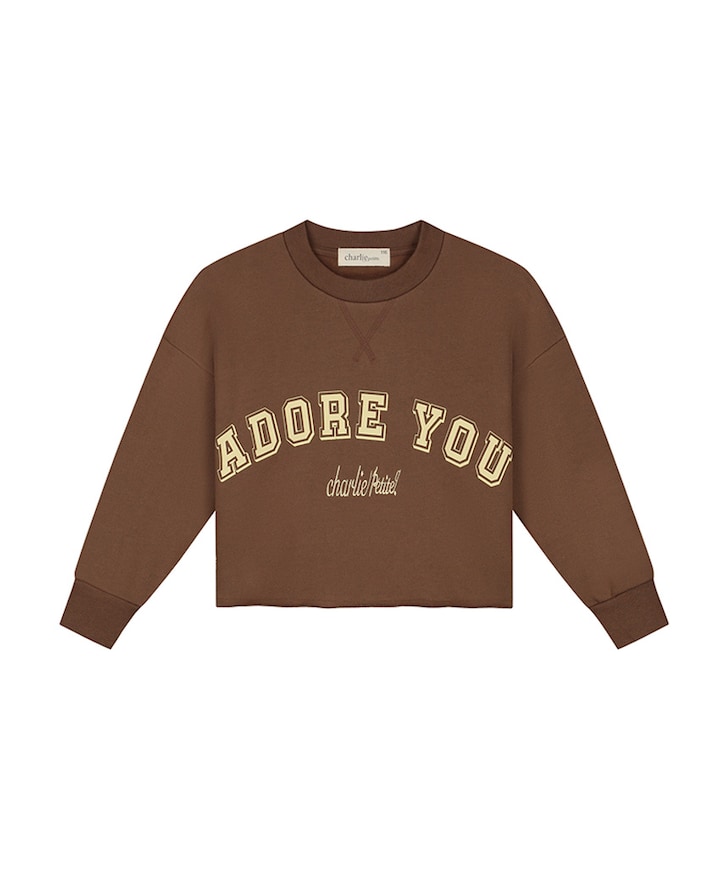 Meisjes sweater bruin