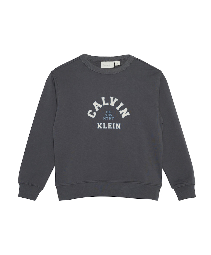 Jongens sweater grijs