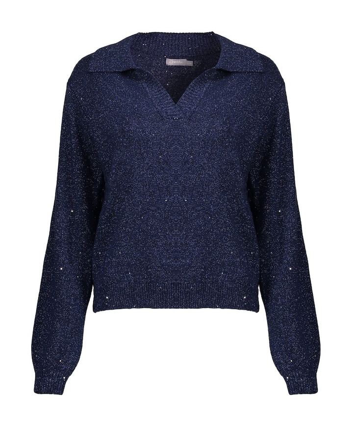 Dames trui blauw