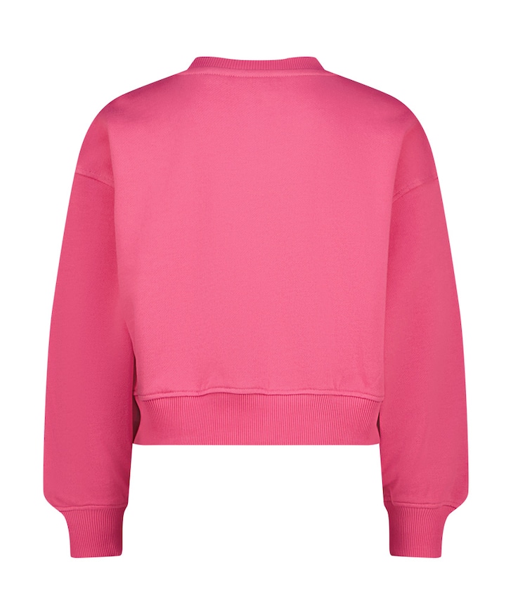 Meisjes sweater roze