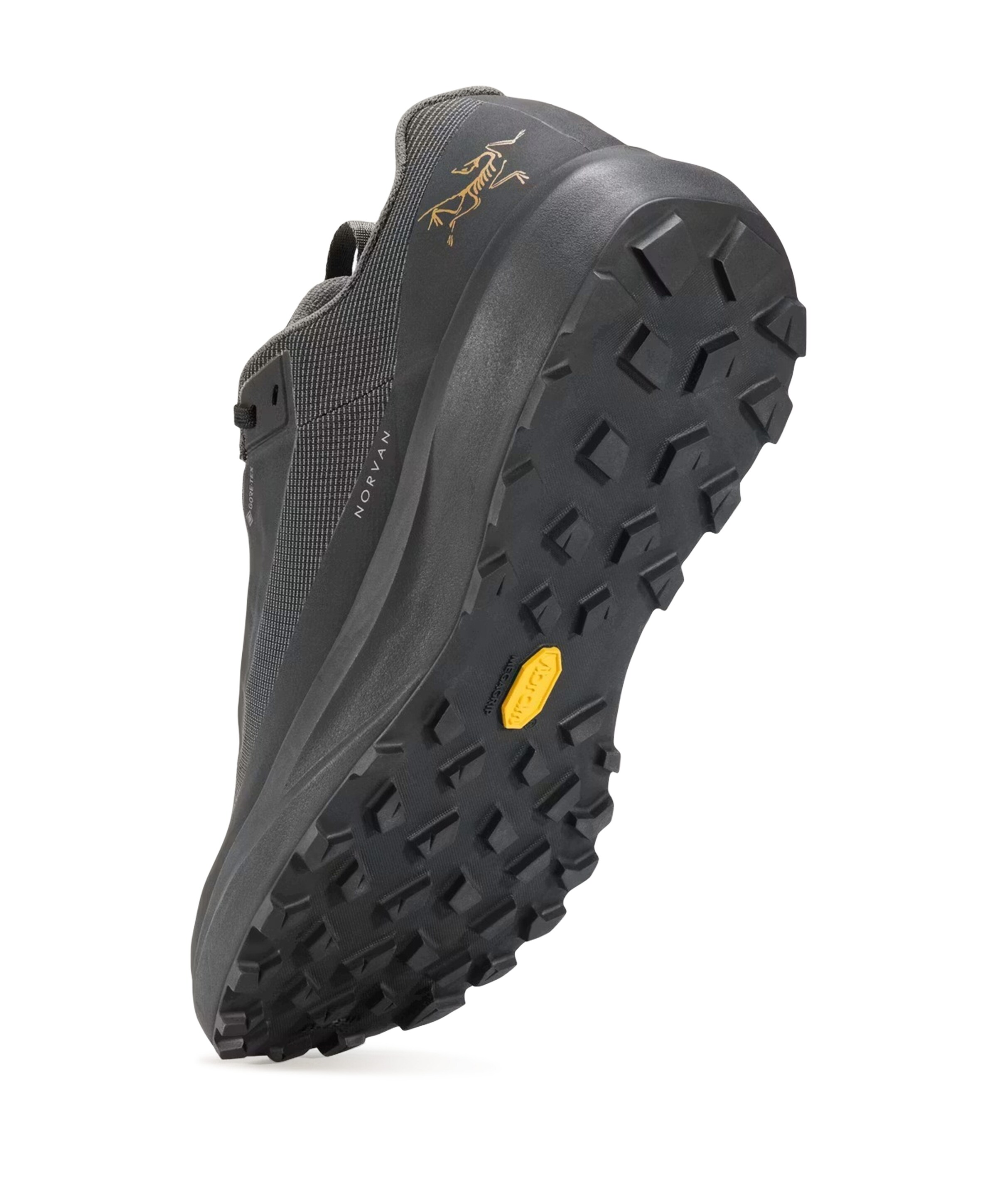 Arc'teryx NORVAN LD 4 GTX MEN heren wandelschoenen zwart 211237