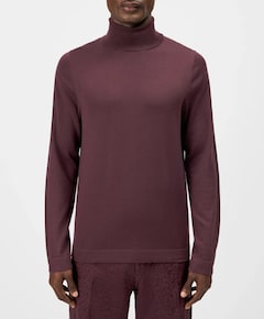 Heren coltrui bordeaux