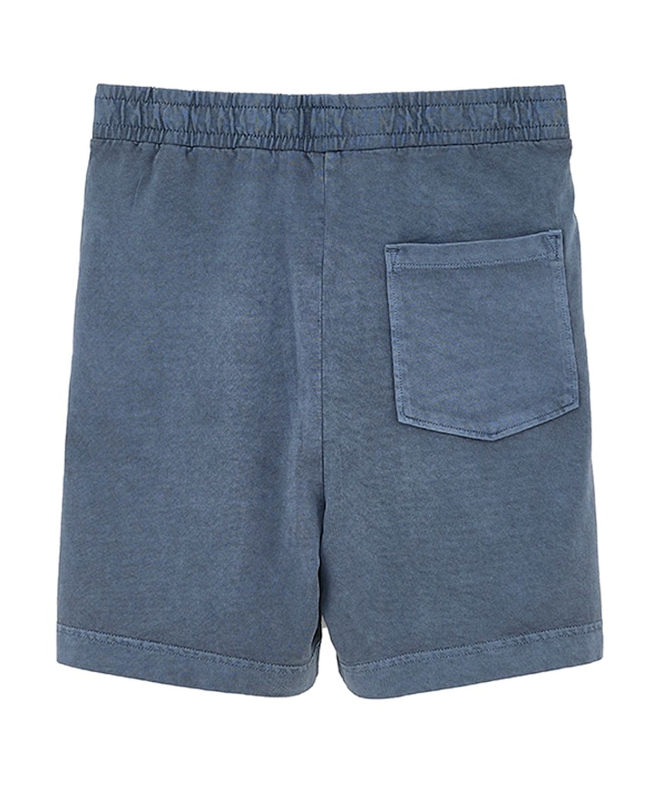 CARLOL61 T1646 jongens korte broek grijs