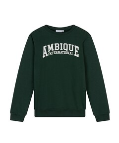 Jongens sweater groen