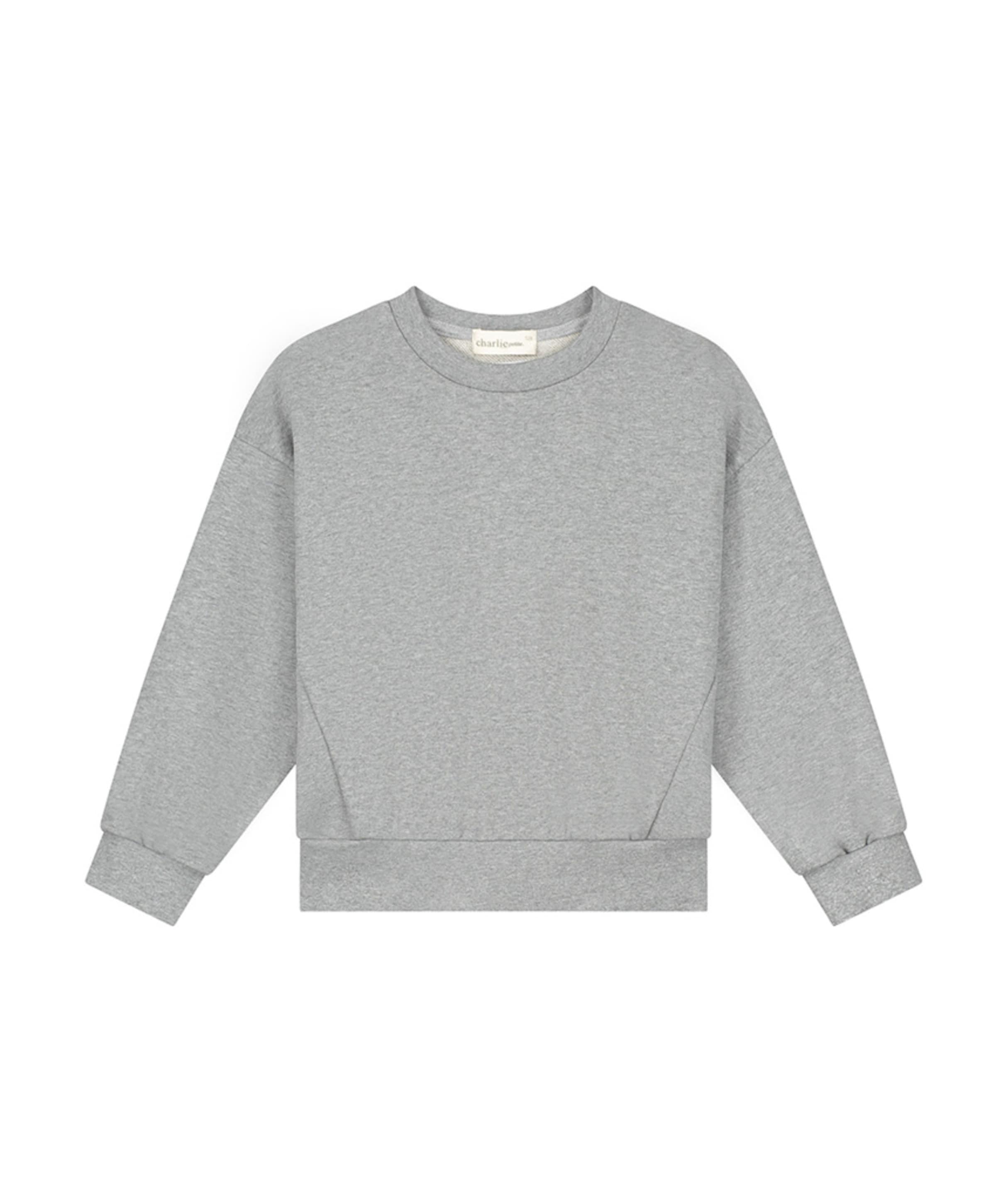 Jongens sweater grijs