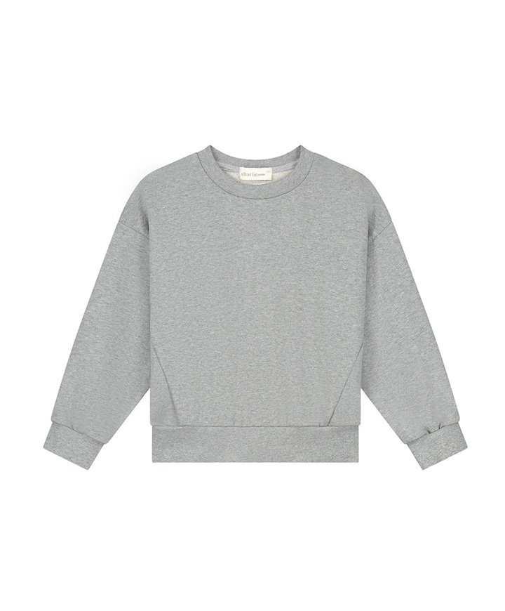 Jongens sweater grijs