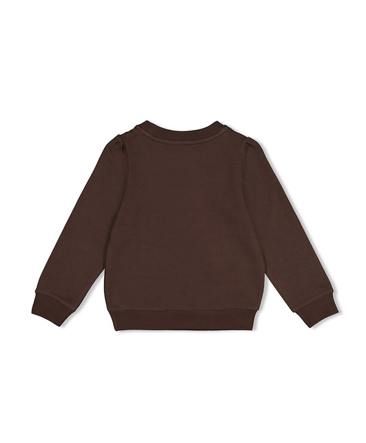 Meisjes sweater bruin