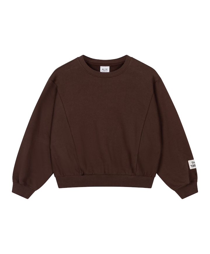 Meisjes sweater bruin