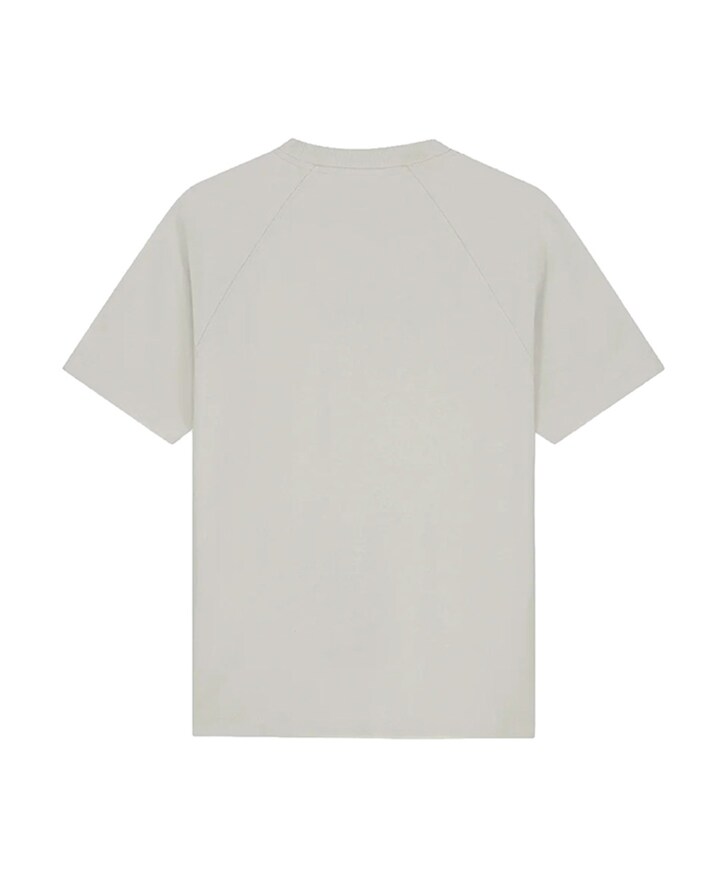 Heren T-shirt grijs