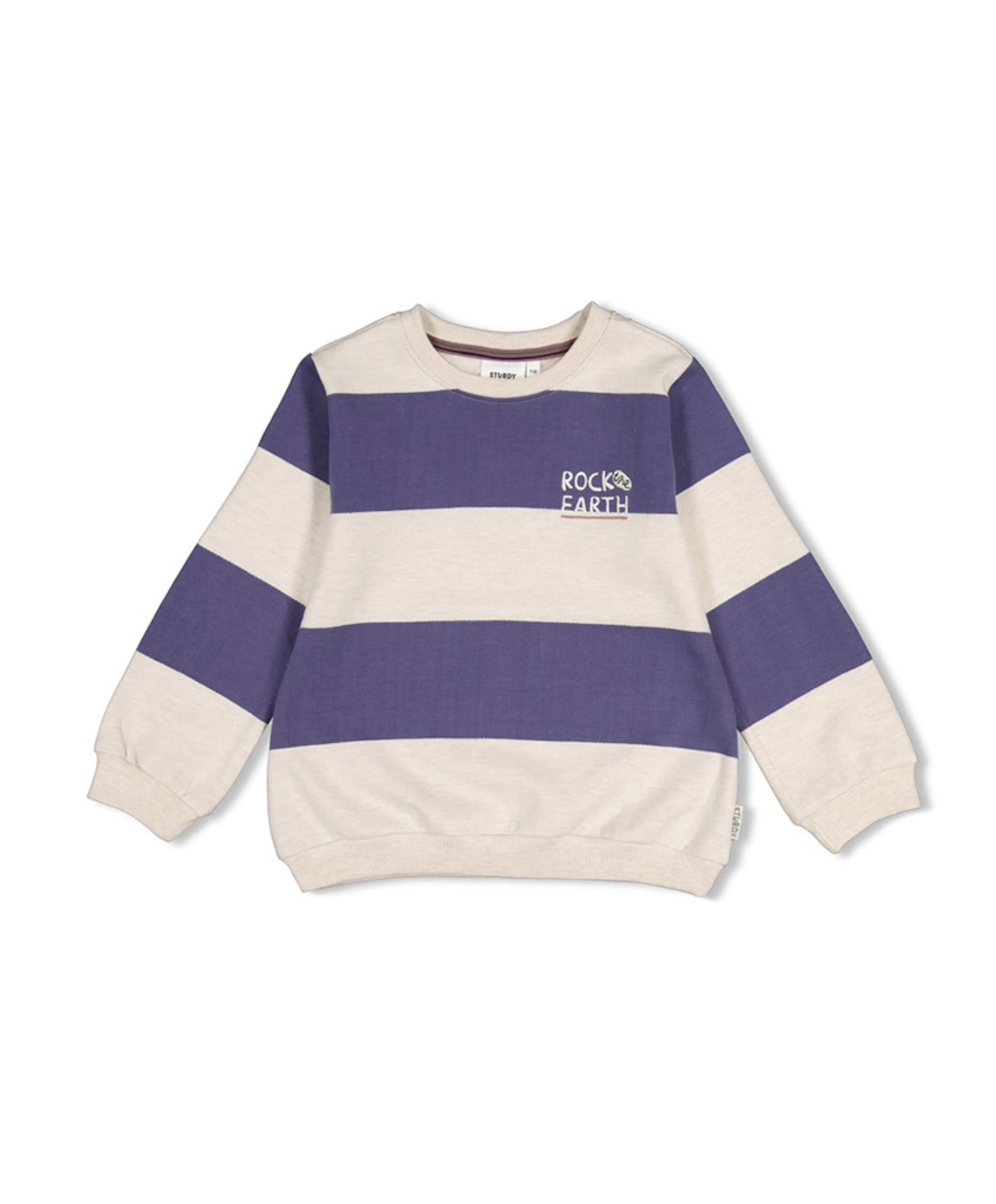 Jongens sweater blauw