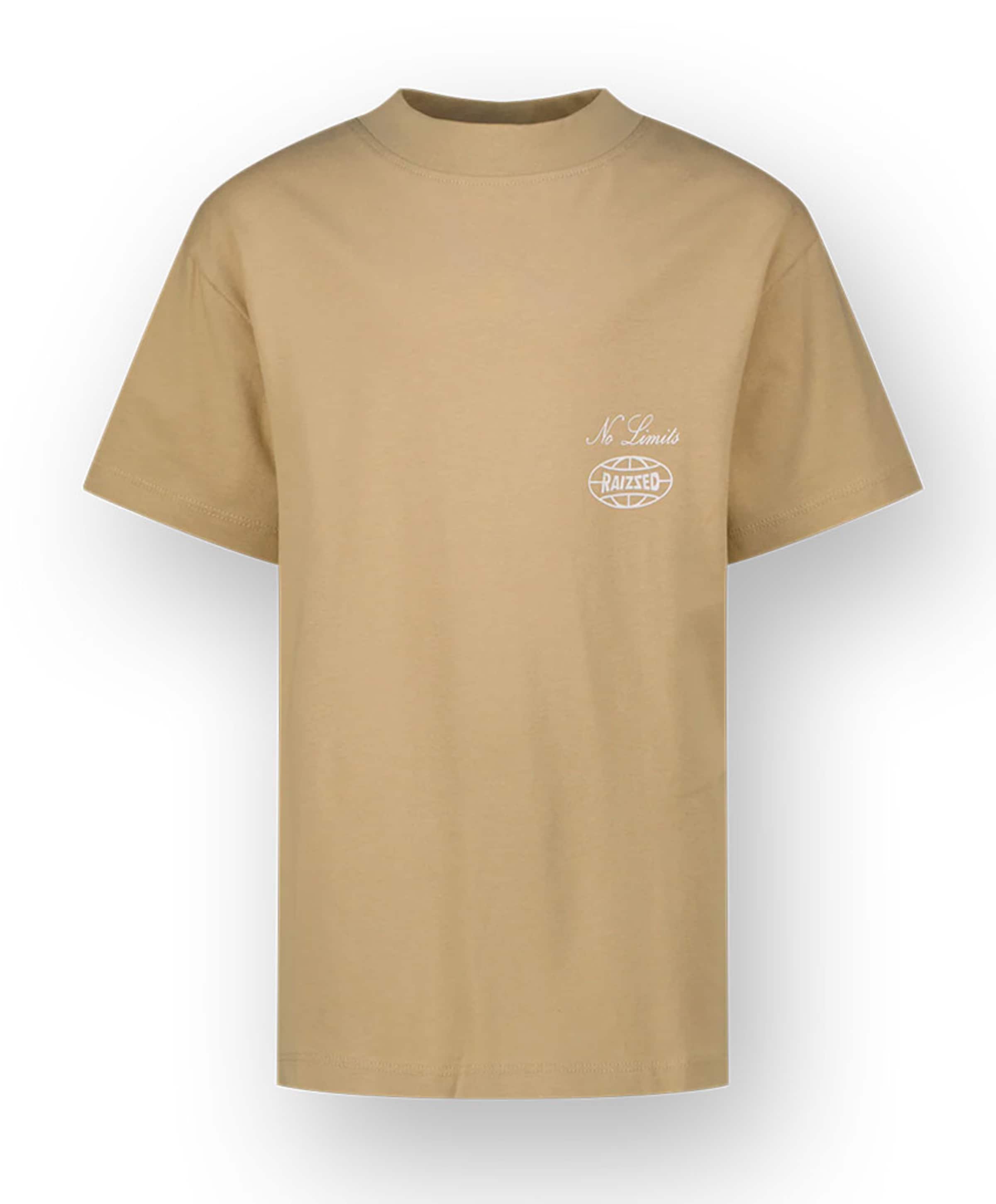 Jongens T-shirt beige