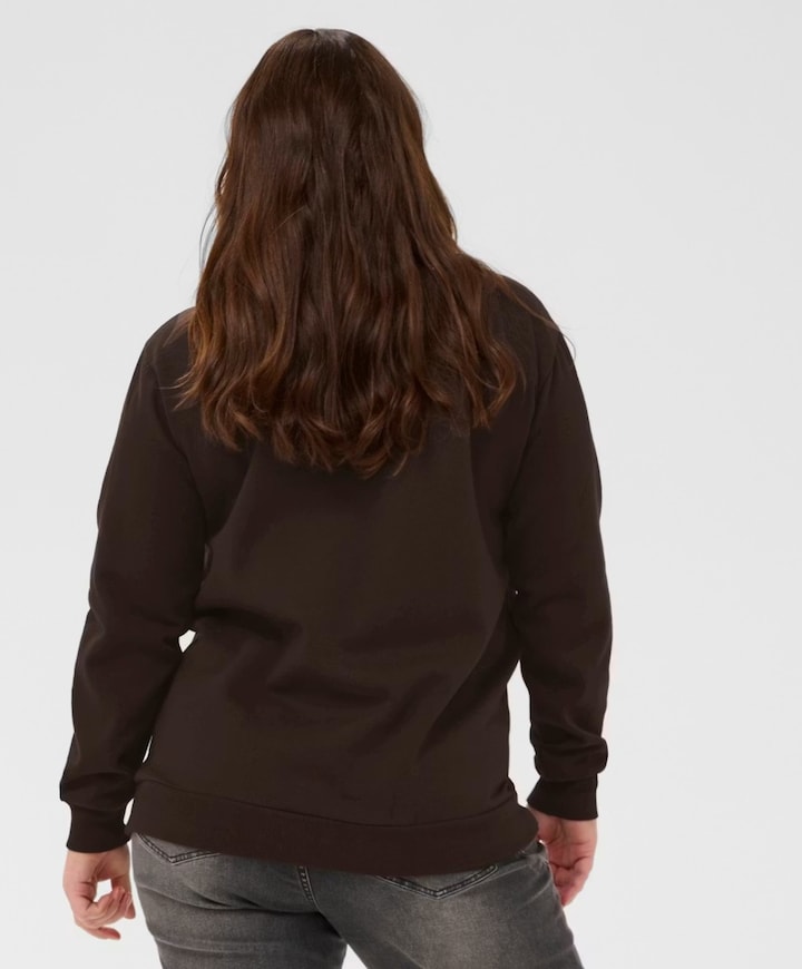 Dames sweater bruin
