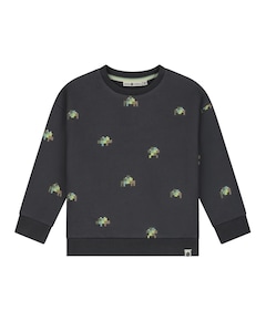 Jongens sweater grijs