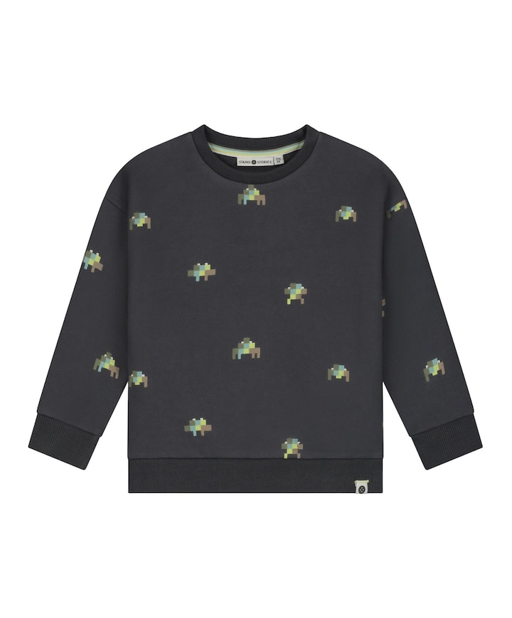 Jongens sweater grijs