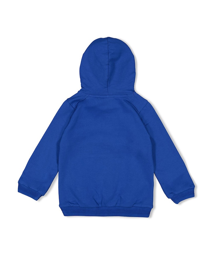 Hoodie blauw