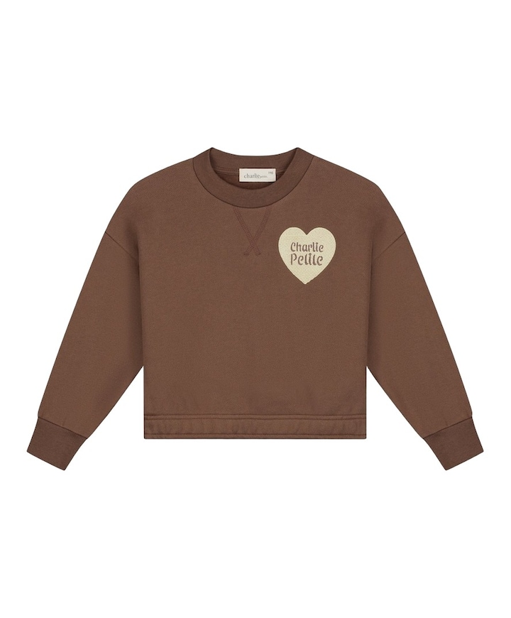 Meisjes sweater bruin