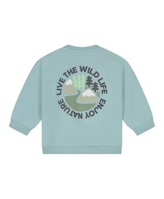 Jongens trui blauw