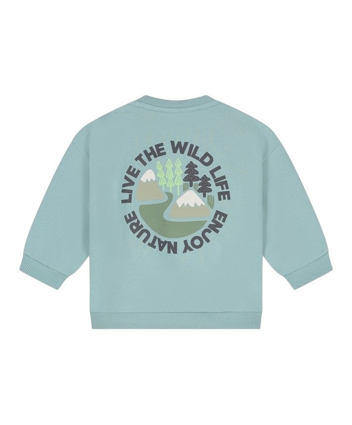Jongens trui blauw