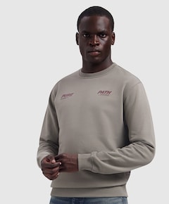 Heren sweater beige