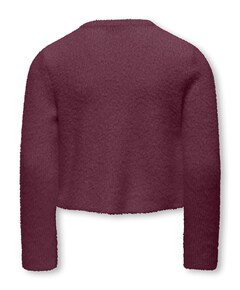 Meisjes vest rood