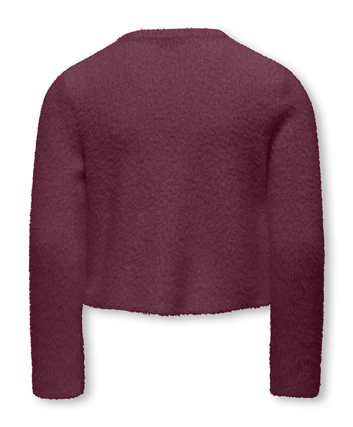 Meisjes vest rood
