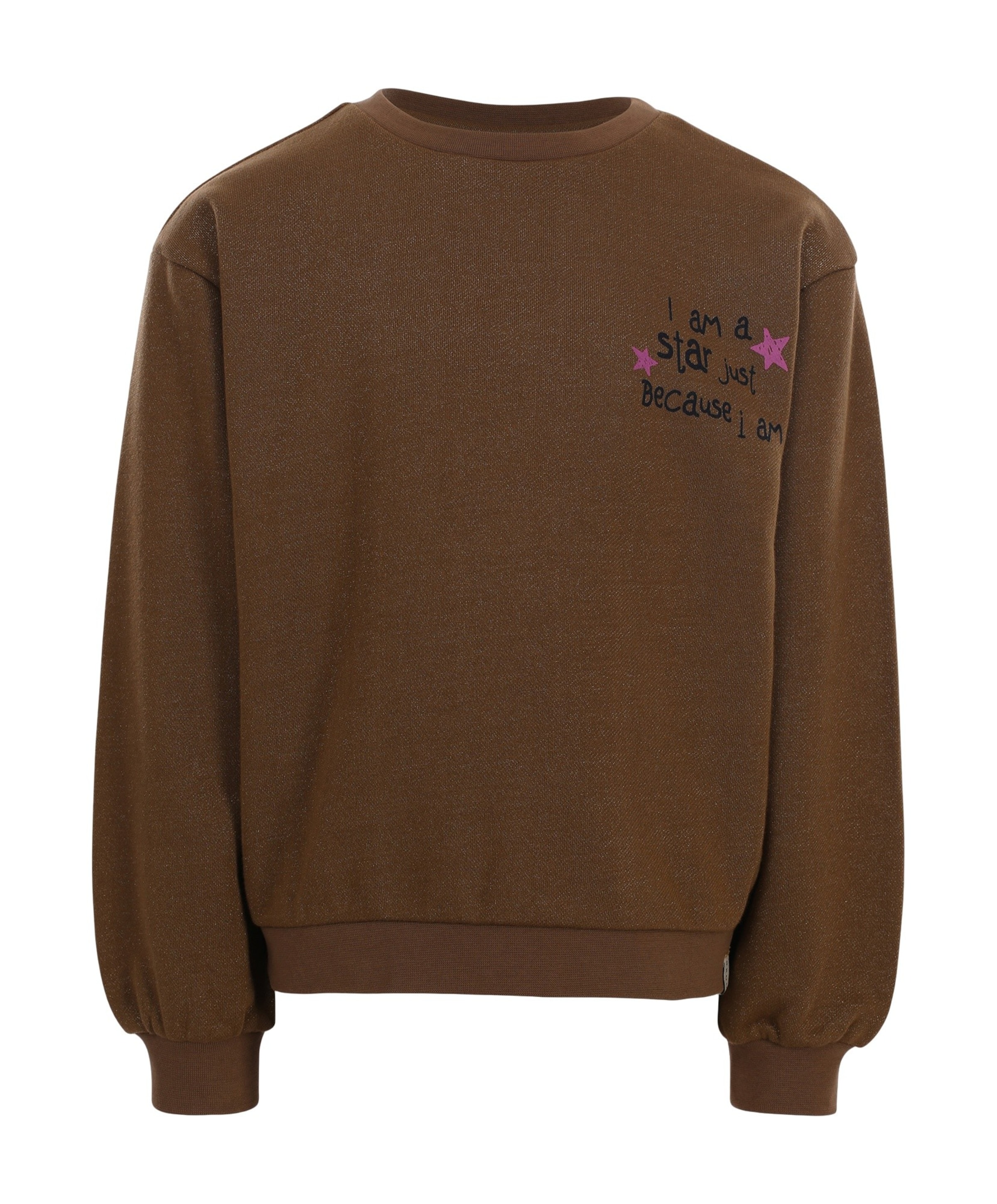 Meisjes sweater bruin