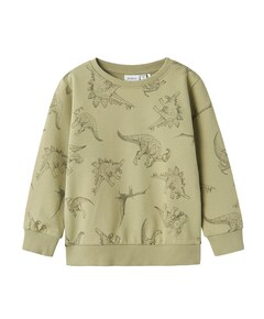 Jongens sweater groen