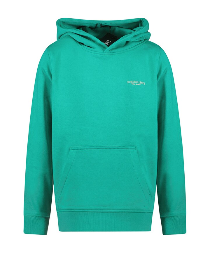 Hoodie groen