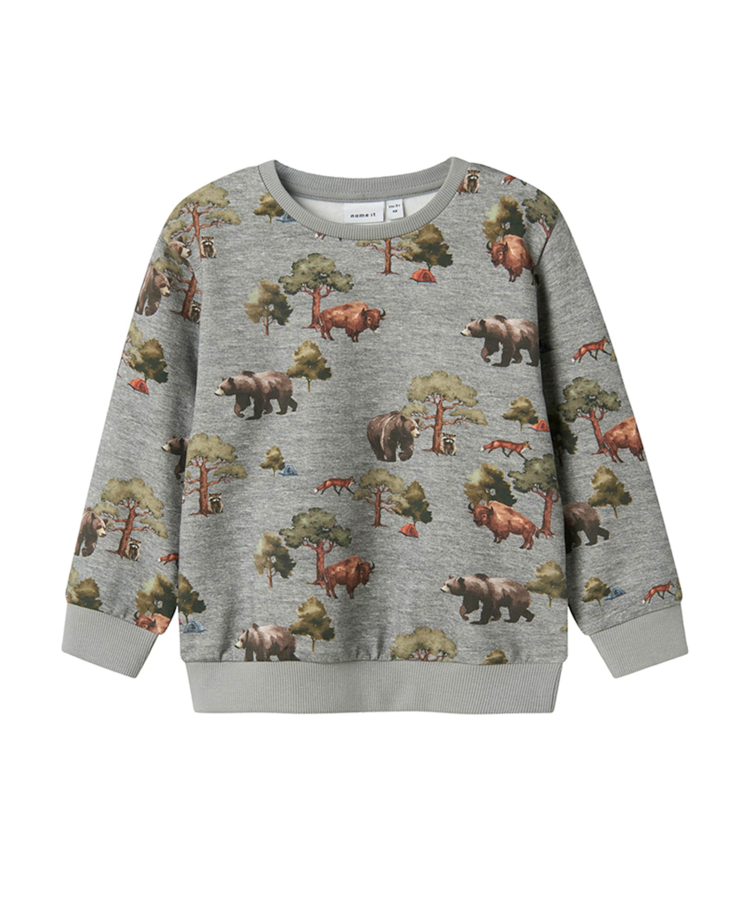 Jongens sweater grijs