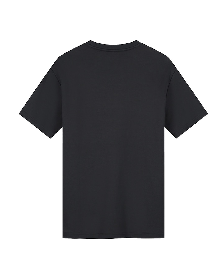 Heren t-shirt zwart