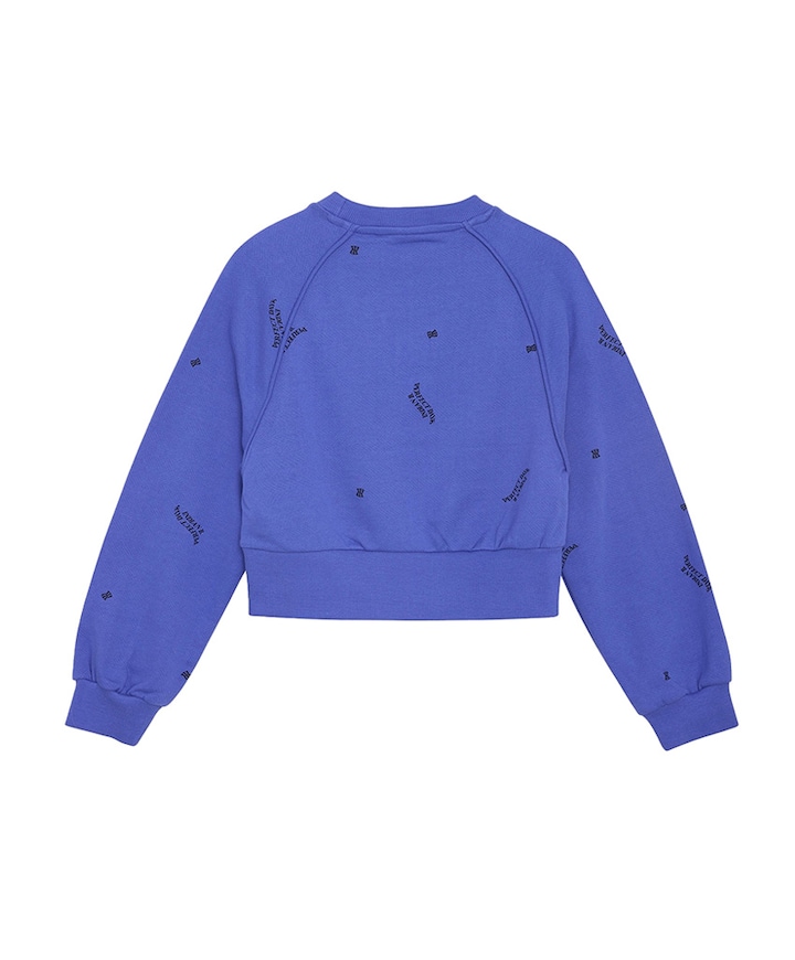 Sweater blauw