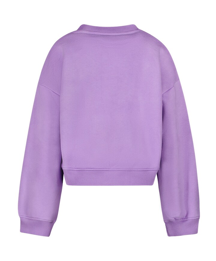 Meisjes sweater paars