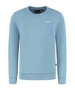 Sweater blauw