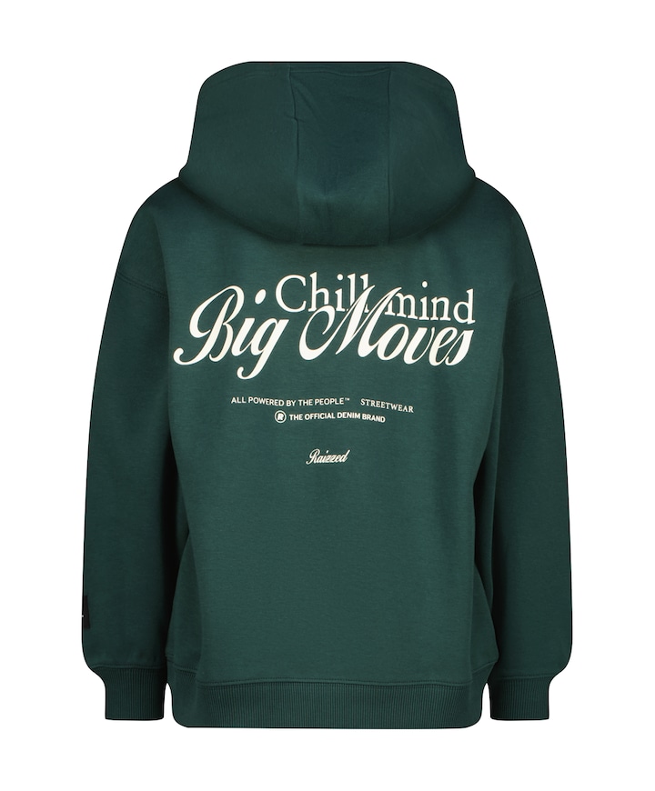 Jongens hoodie groen