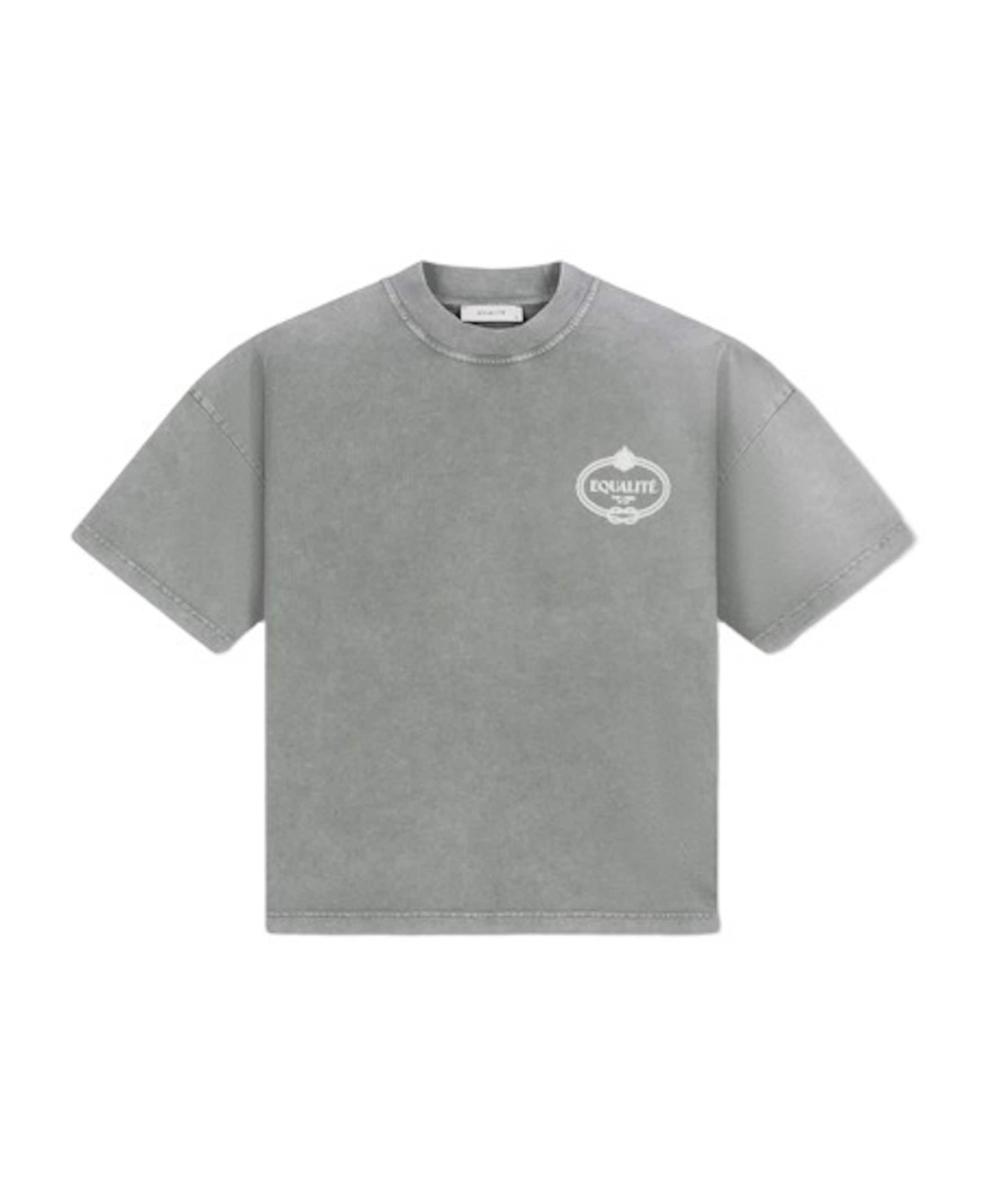 Heren T-shirt grijs