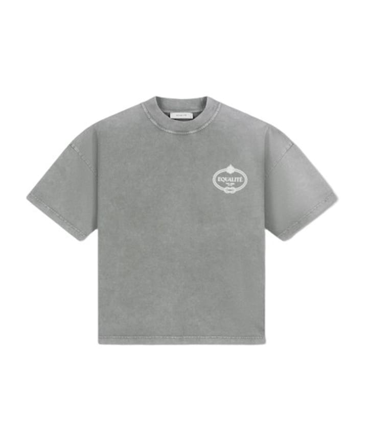 Heren T-shirt grijs