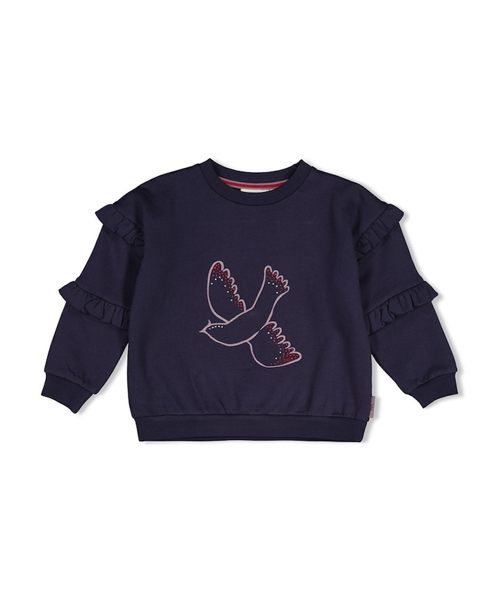 Meisjes sweater blauw