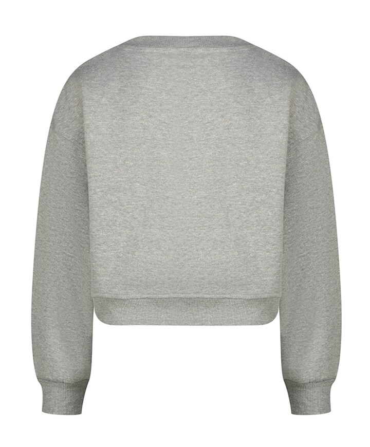 Sweater grijs