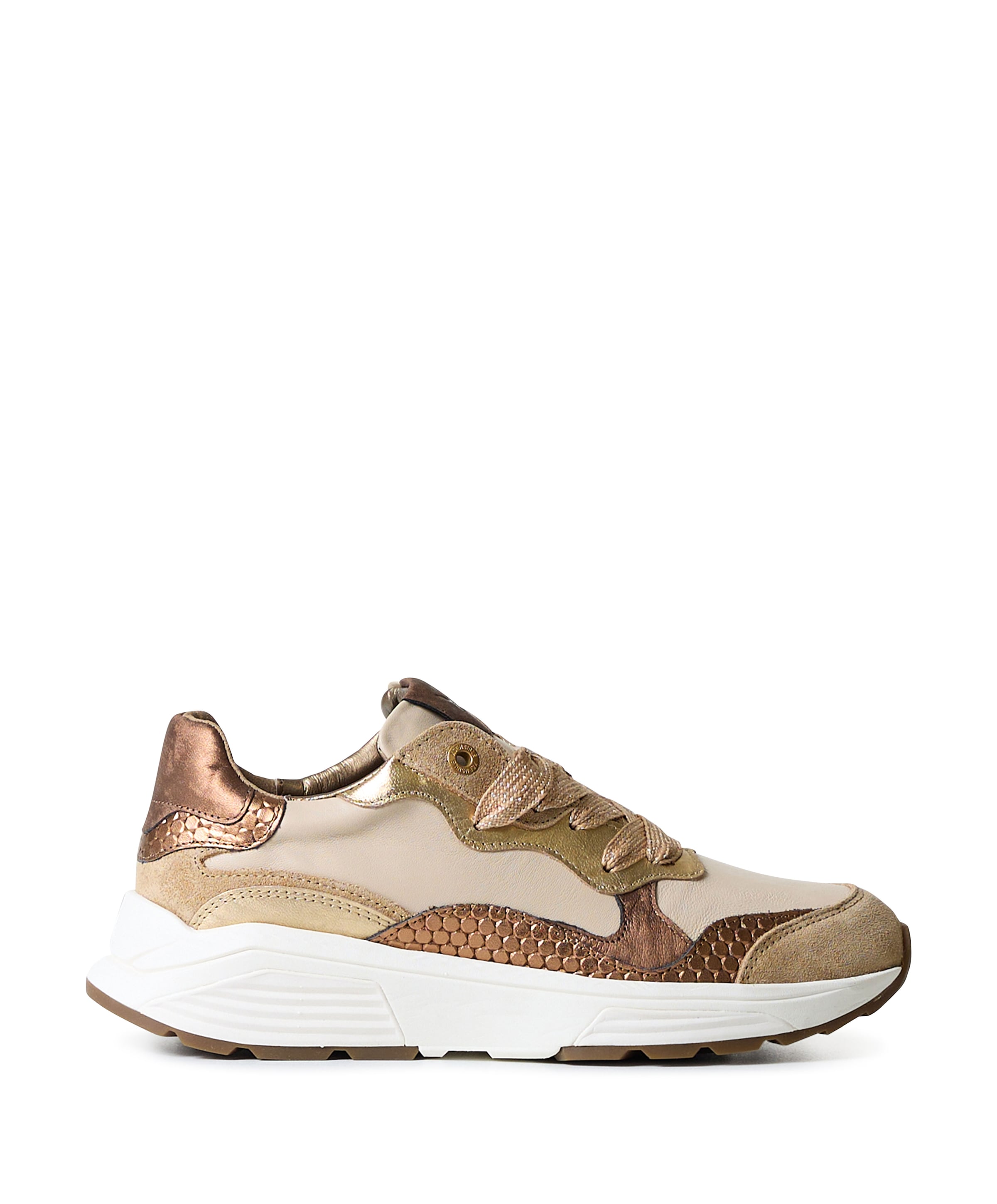 Rainbow dames sneakers bruin