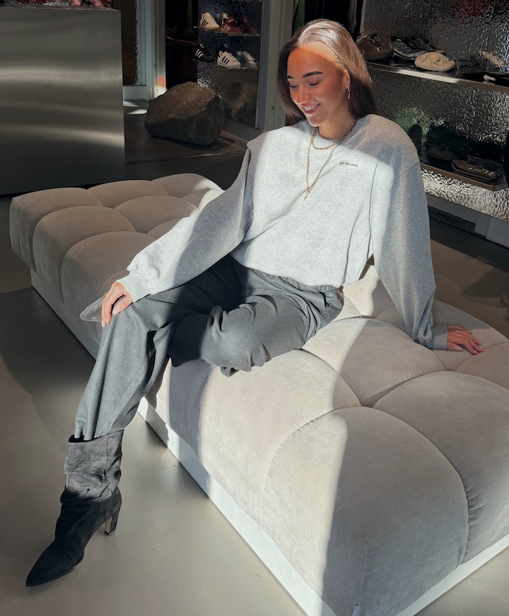 Dames sweater grijs