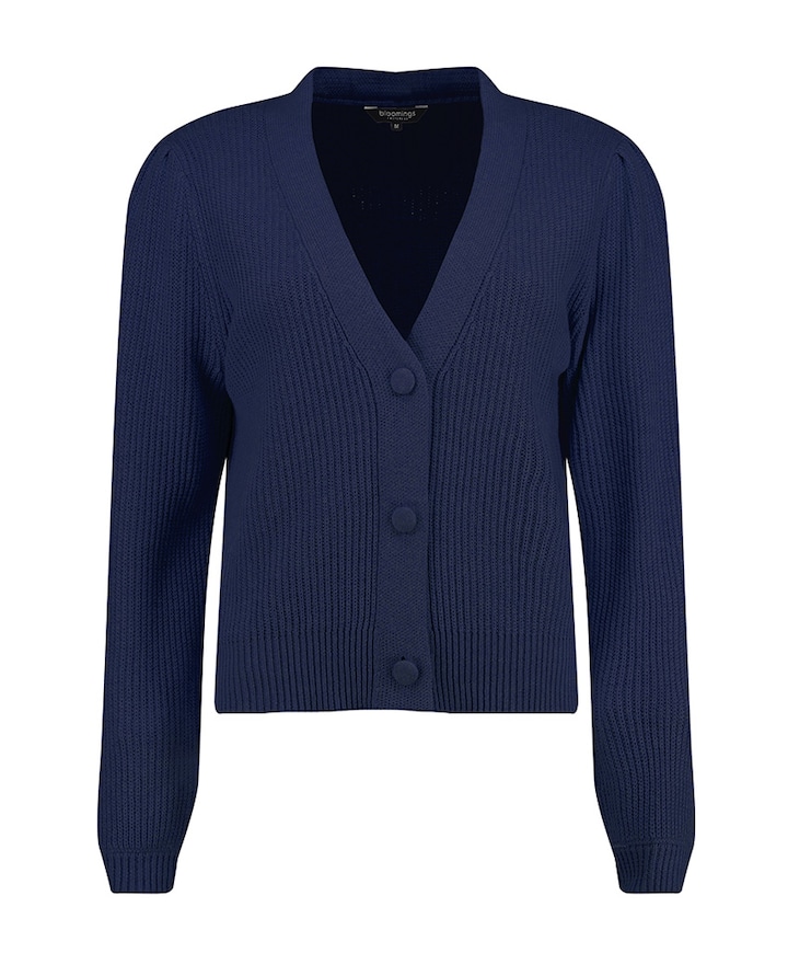 Dames vest blauw