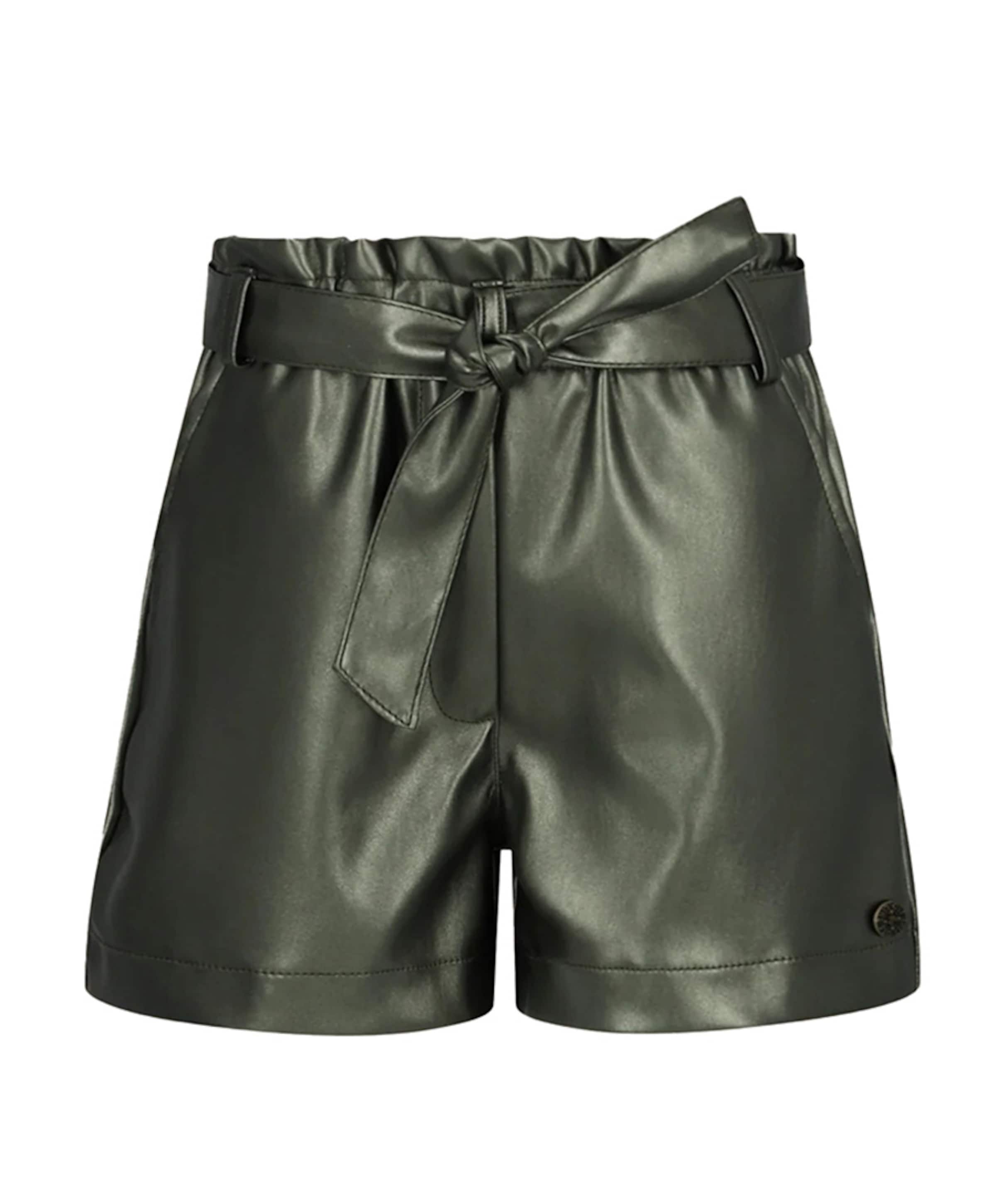 Fay linn korte broek groen