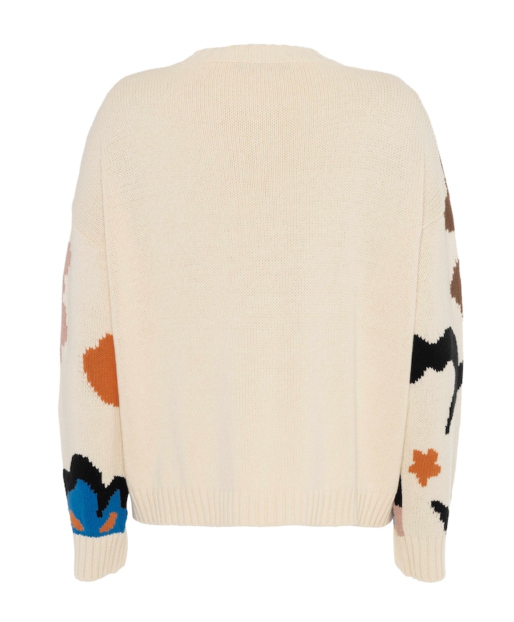 Dames trui multicolor