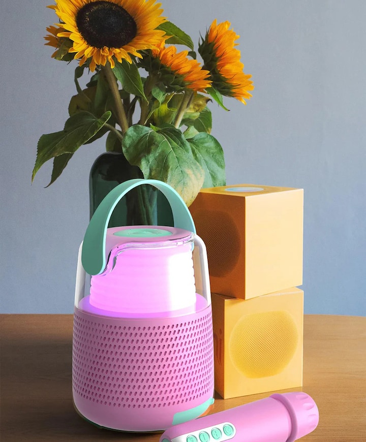 Karaoke & Luminous KS-80 speaker roze