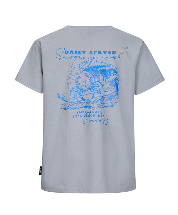 Jongens T-shirt grijs